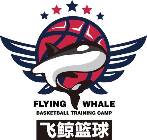 飞鲸体育注册,飞鲸体育app手机版下载