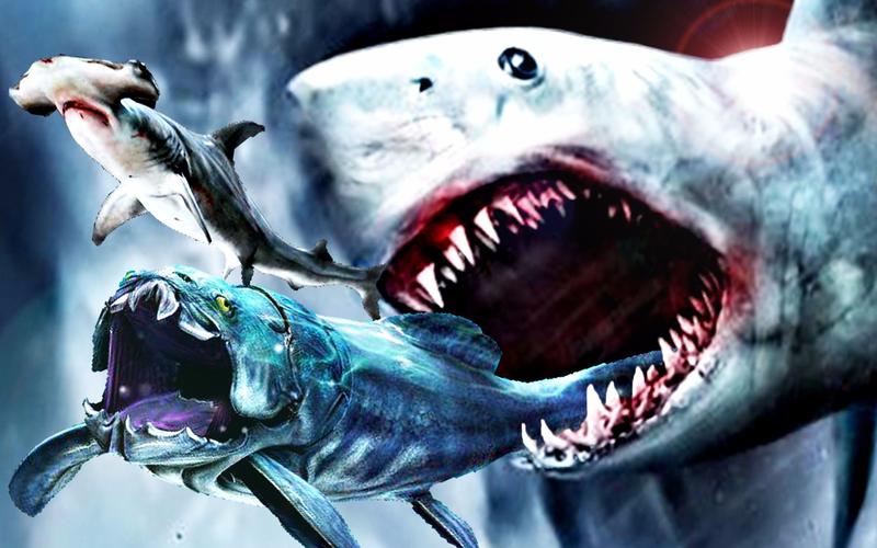 大白鲨生化危机游戏攻略,生化危机 鲨鱼